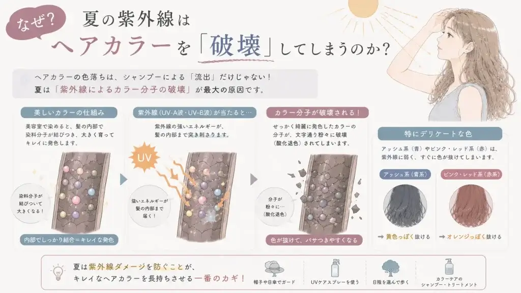 夏の紫外線が髪の毛の色を褪色させてしまうメカニズムや原因