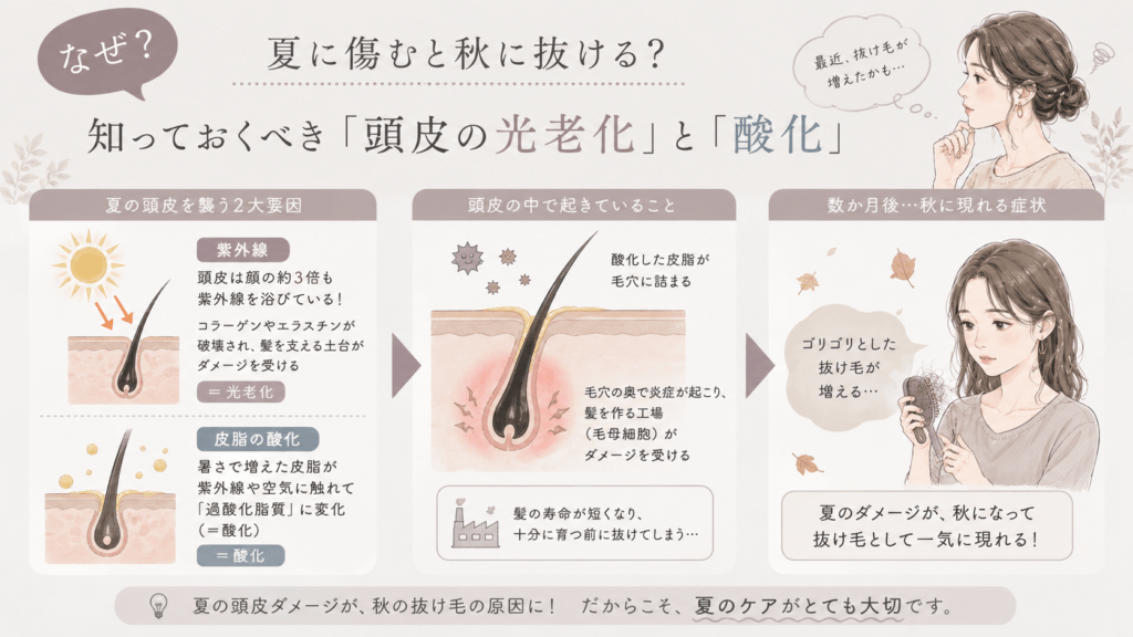 夏のダメージが秋の抜け毛に繋がる理由を解説