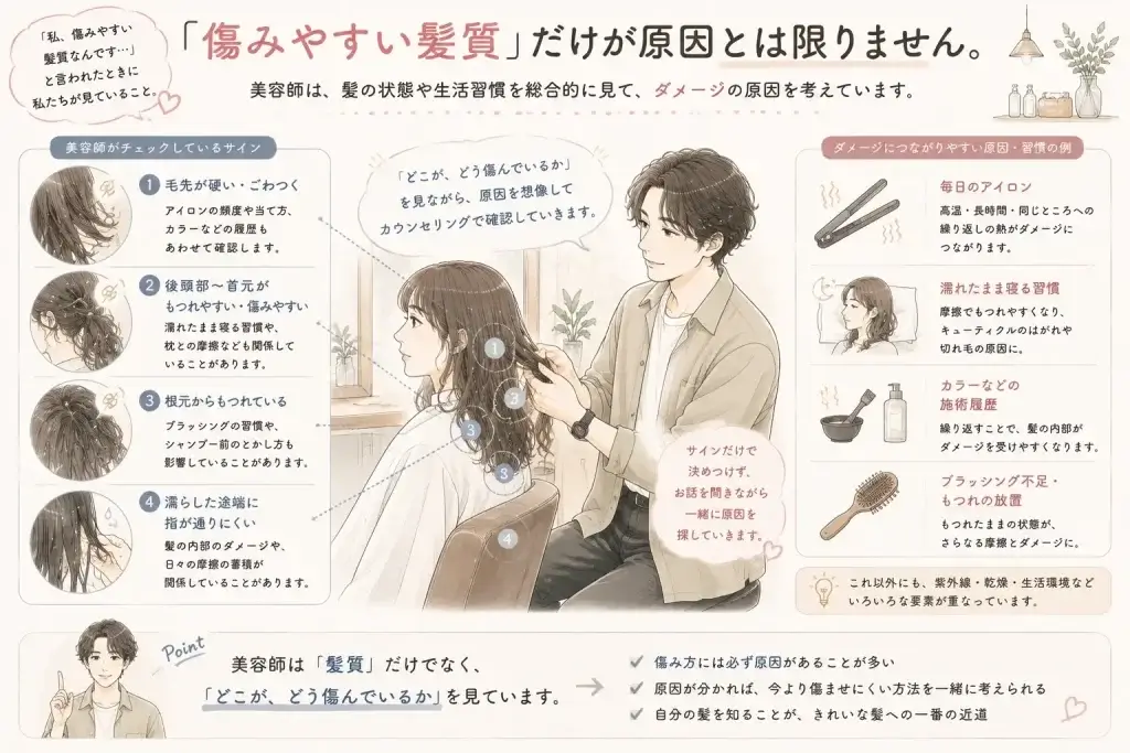 毛先の硬さや後頭部のもつれ、根元の絡まりなど髪の傷み方を美容師が確認し、アイロンや濡れたまま寝る習慣、カラーなどの施術履歴とあわせて原因を考える様子を描いたイラスト