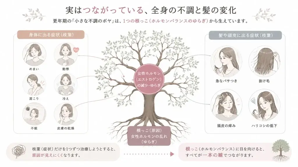 更年期の不調と髪の悩みが、女性ホルモン（エストロゲン）のゆらぎという共通の原因から起こることを、木の根と枝葉のイメージで解説したイラスト