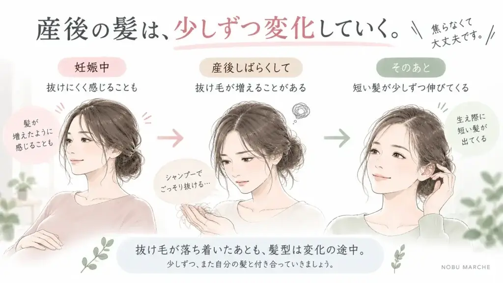 妊娠中から産後の抜け毛、生え際に短い髪が生えてくるまでの変化を示した図解