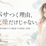 髪の毛先に触れる大人女性とドライヤーやブラシを水彩調で描いた、髪のパサつく原因と対策のアイキャッチ画像